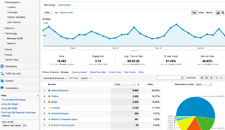 No matter what business you are in, the goal of any SEO strategy is to increase profits. This introduction will get you started.